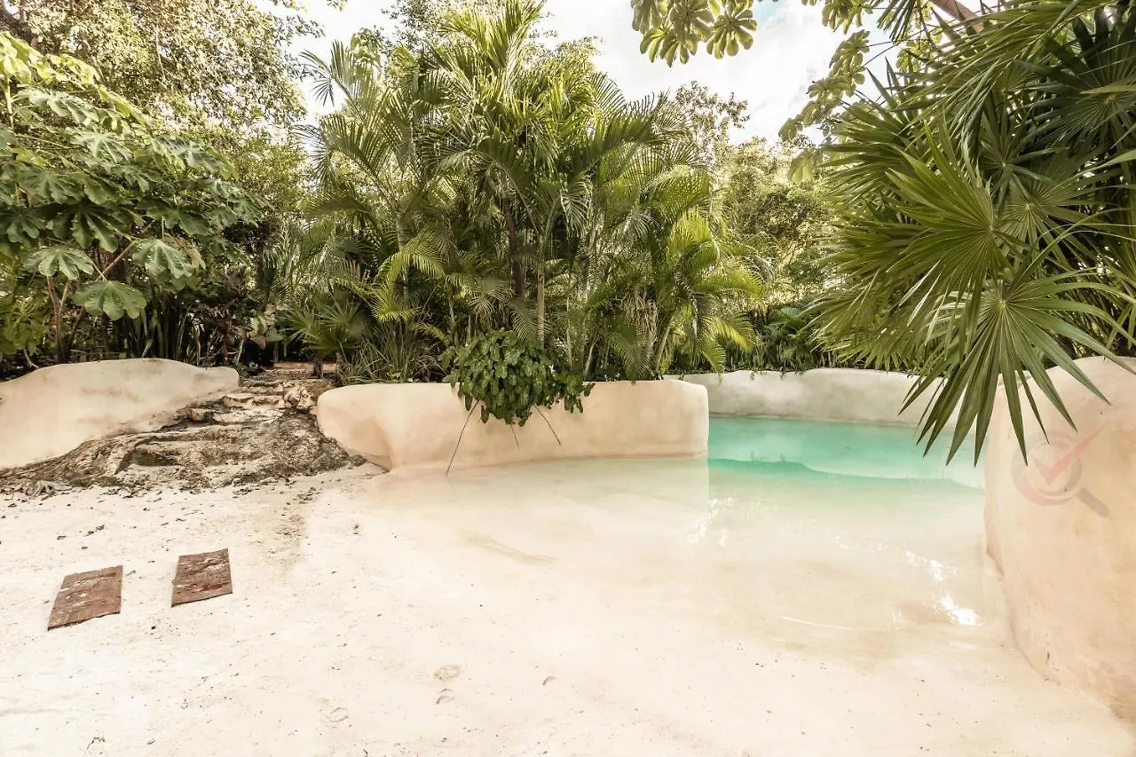 New Luxury Suite Con Plunge Pool Privado Tulum Mexico