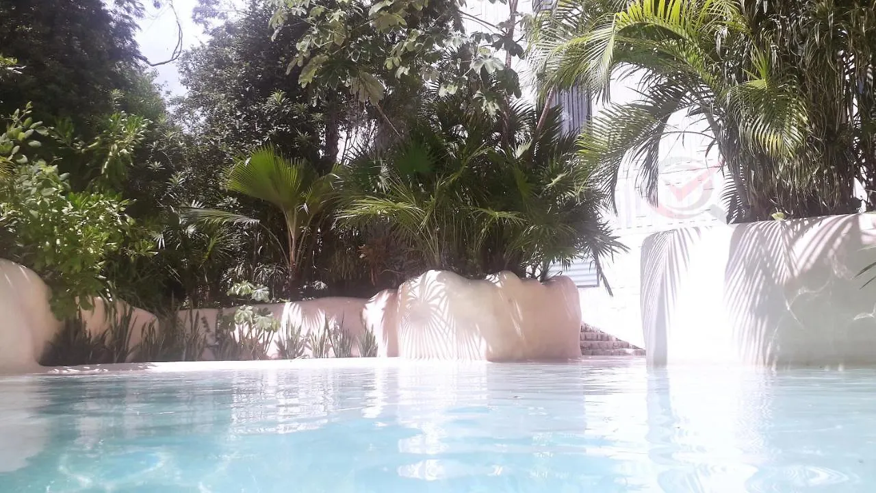 New Luxury Suite Con Plunge Pool Privado Tulum