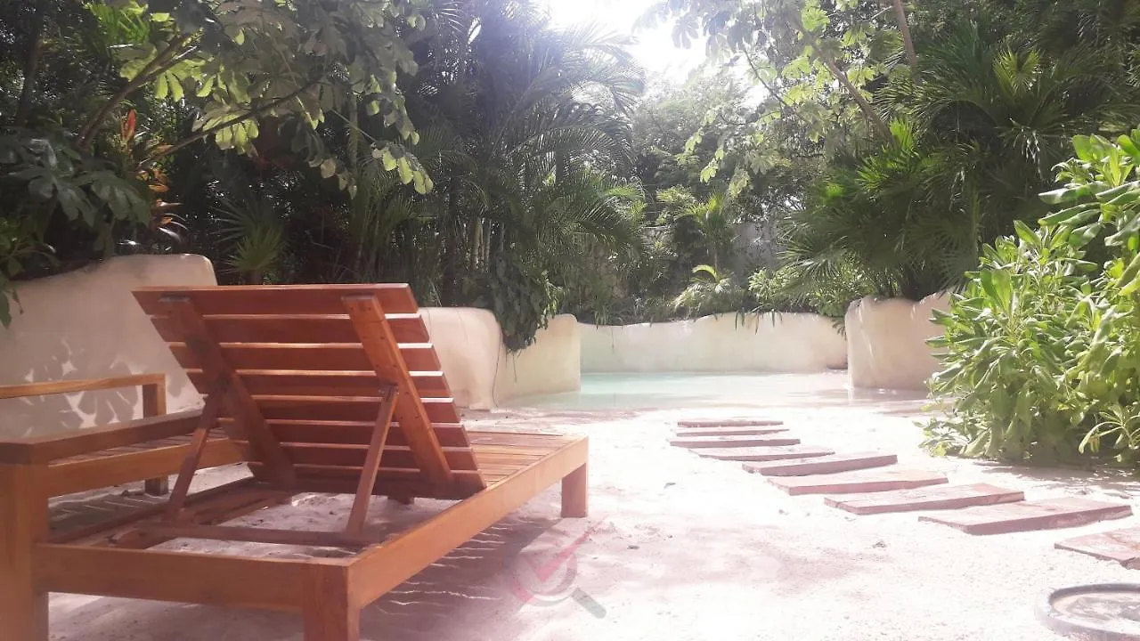 New Luxury Suite Con Plunge Pool Privado Tulum