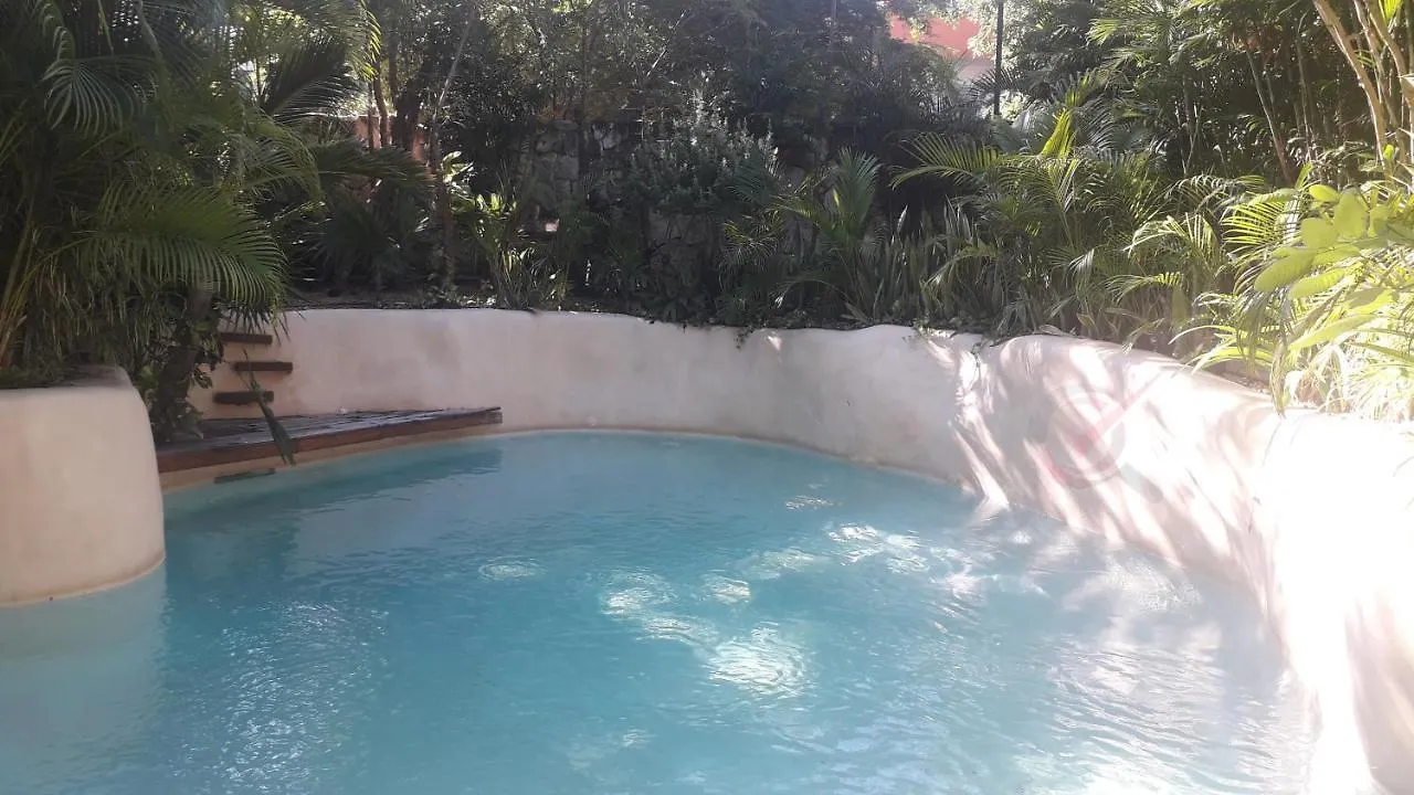 Apartment New Luxury Suite Con Plunge Pool Privado Tulum