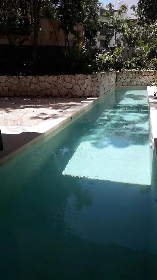 New Luxury Suite Con Plunge Pool Privado Tulum 0*,  Mexico