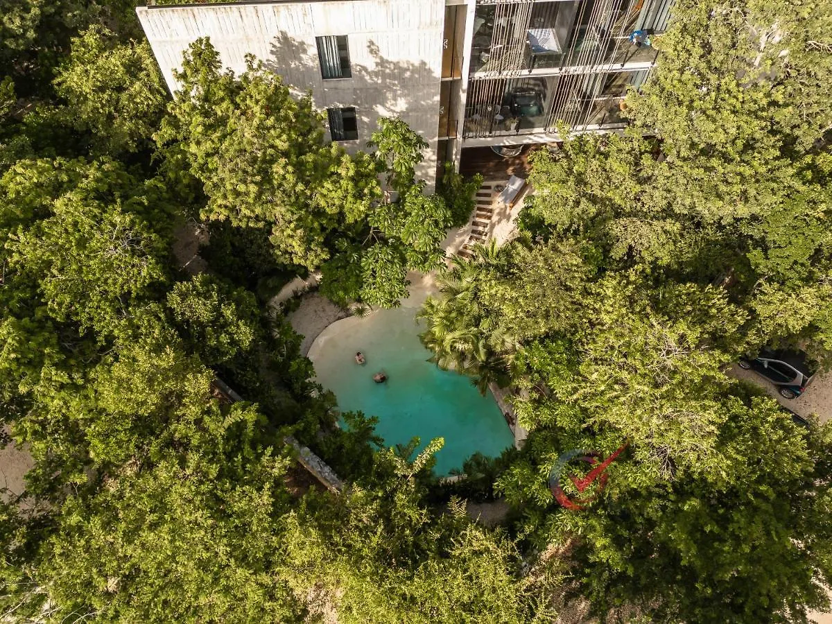 Apartment New Luxury Suite Con Plunge Pool Privado Tulum Mexico
