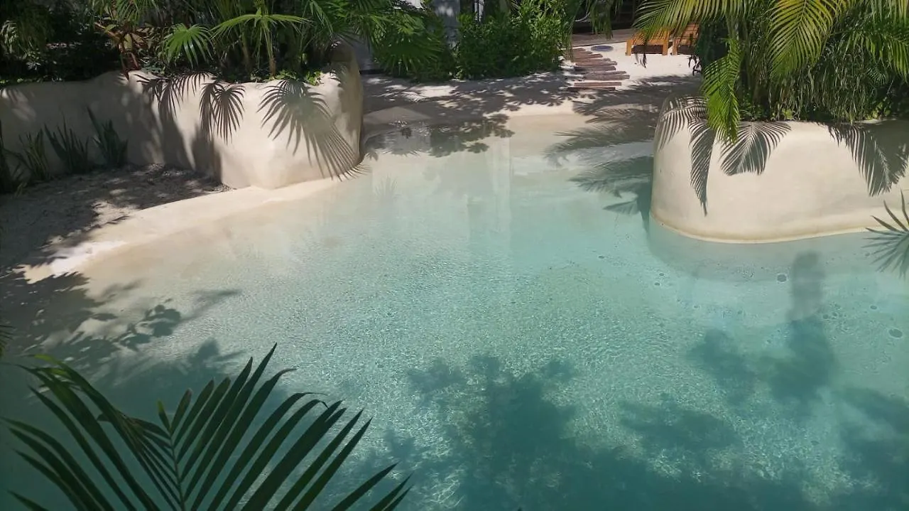 New Luxury Suite Con Plunge Pool Privado Tulum 0*,  Mexico
