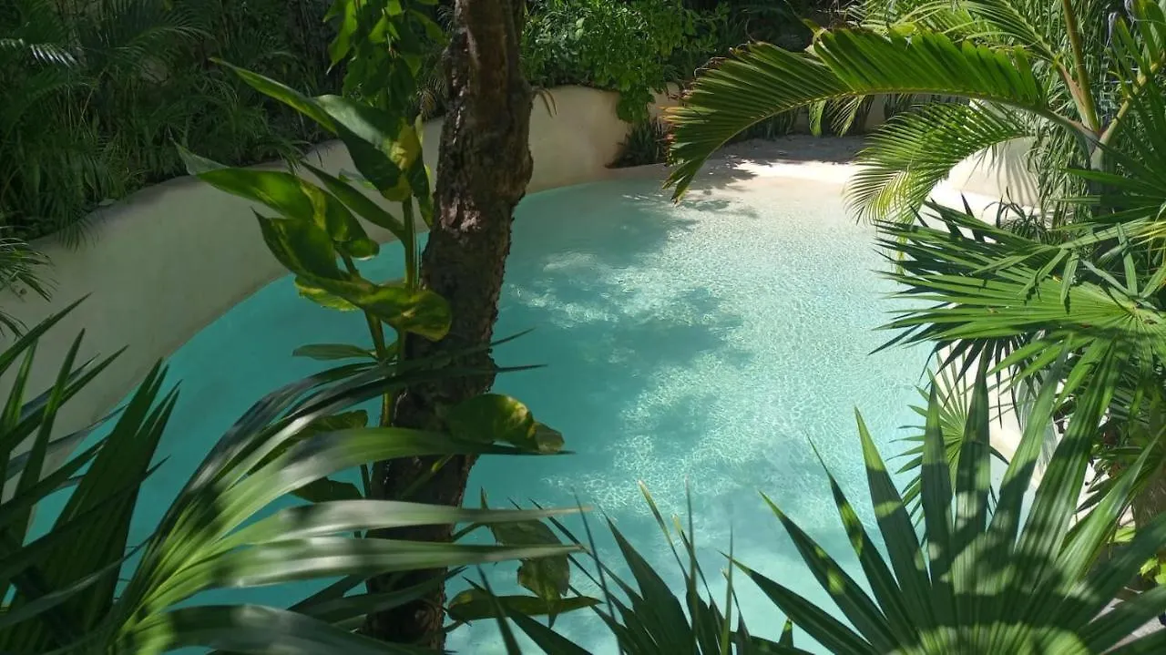 Apartment New Luxury Suite Con Plunge Pool Privado Tulum Mexico