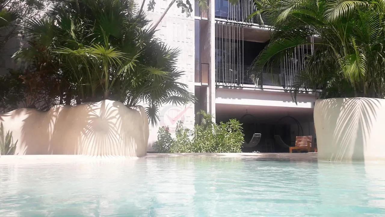 New Luxury Suite Con Plunge Pool Privado Tulum Apartment