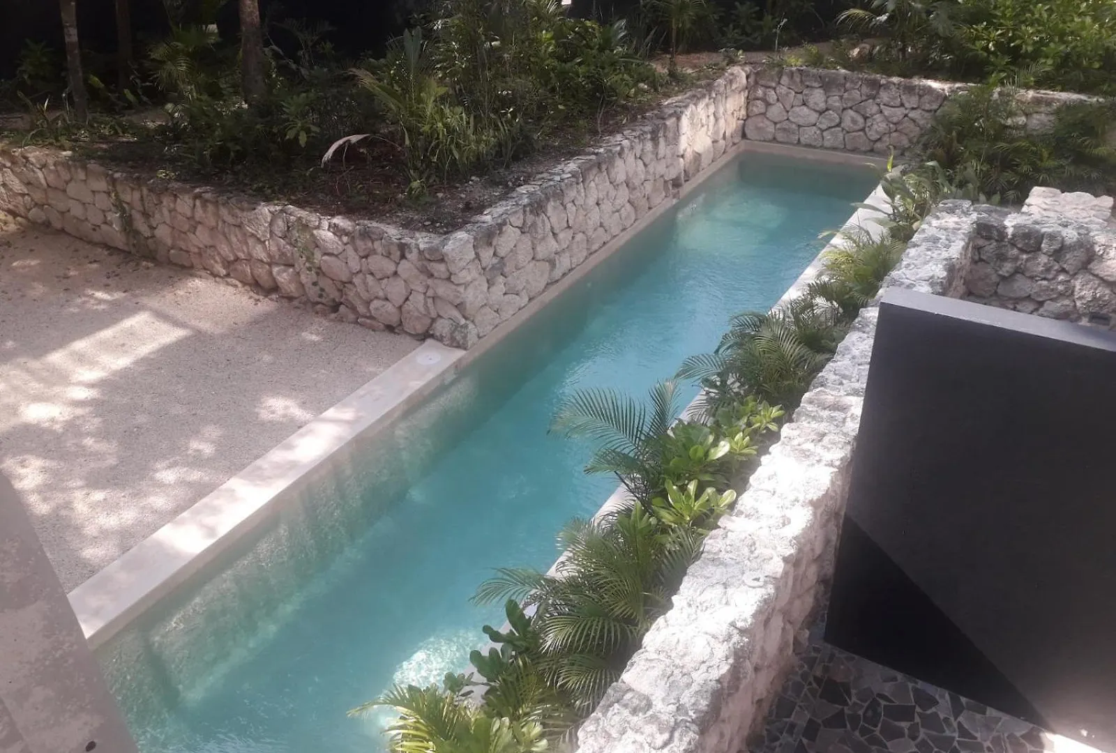 Apartment New Luxury Suite Con Plunge Pool Privado Tulum Mexico